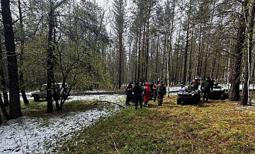 Волонтер рассказала, чем занимается "ЛизаАлерт" на поисках Усольцевых 
