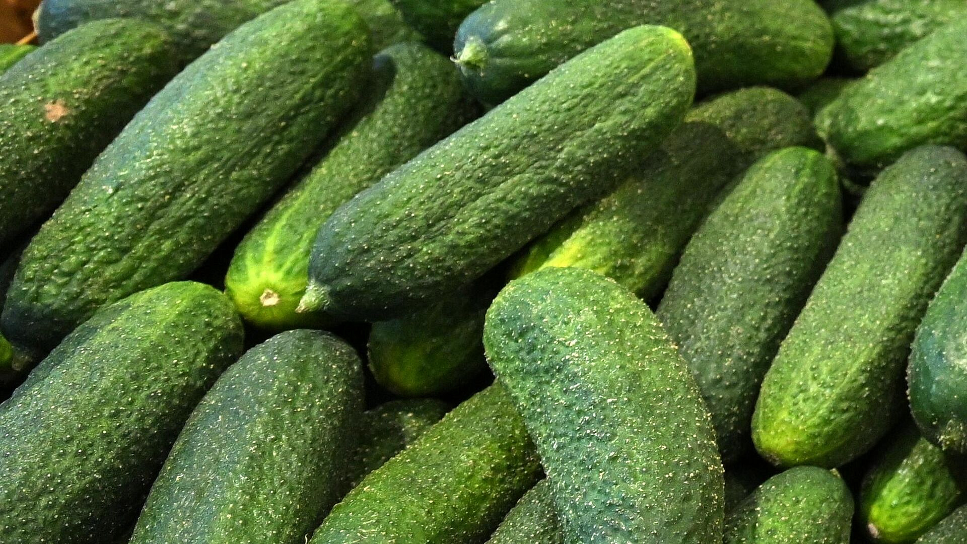 Россия вошла в десятку крупных экономик по доступности огурцов