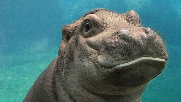 � ����� ������ ���� �� ��������� ������� �� �������� ��������