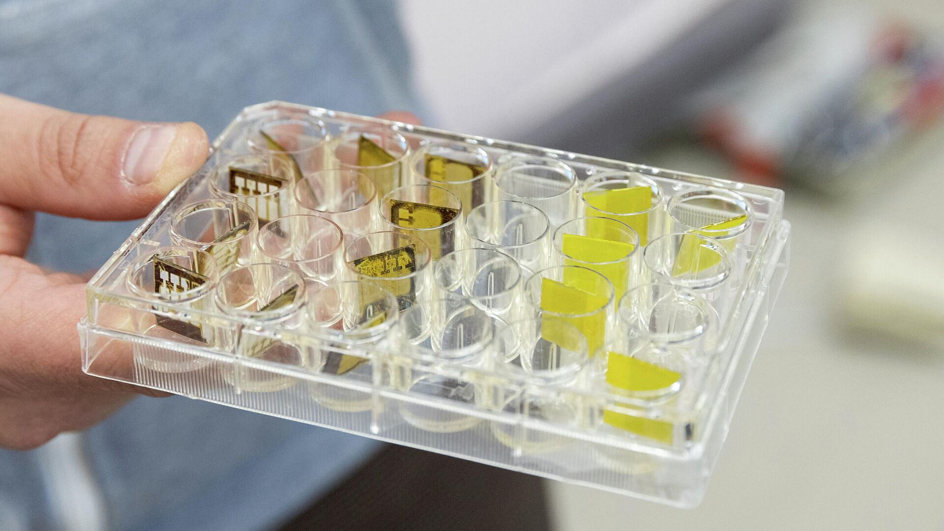 � ������ ����� ���� � �������� ����������� �������� ���������