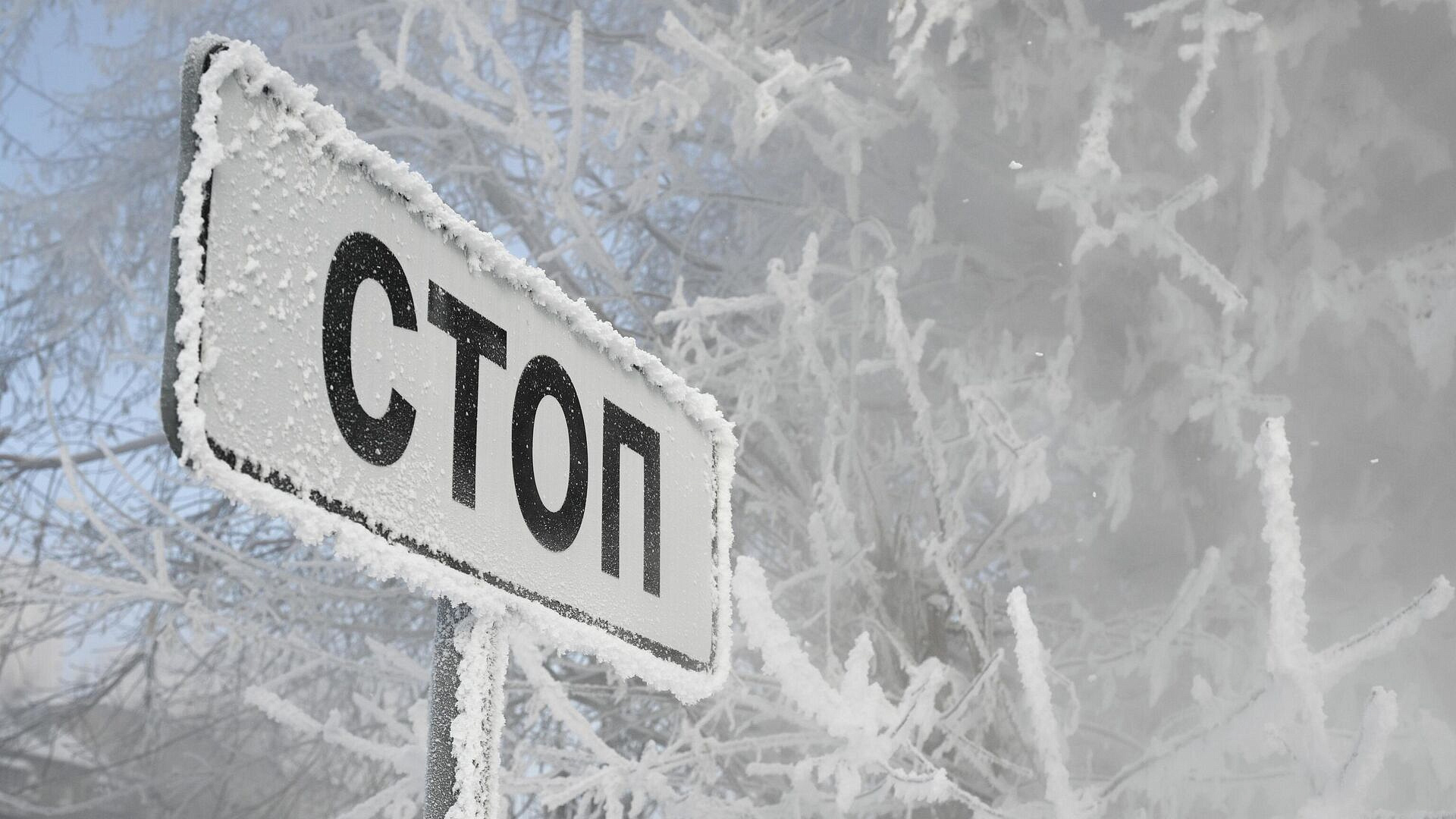 � �������-��-���� ����� ����� ���������� ���������� ��-�� ��������� ������