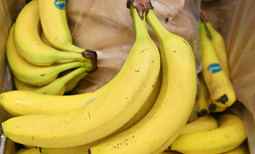 В России заявили о появлении к концу года первых отечественных бананов