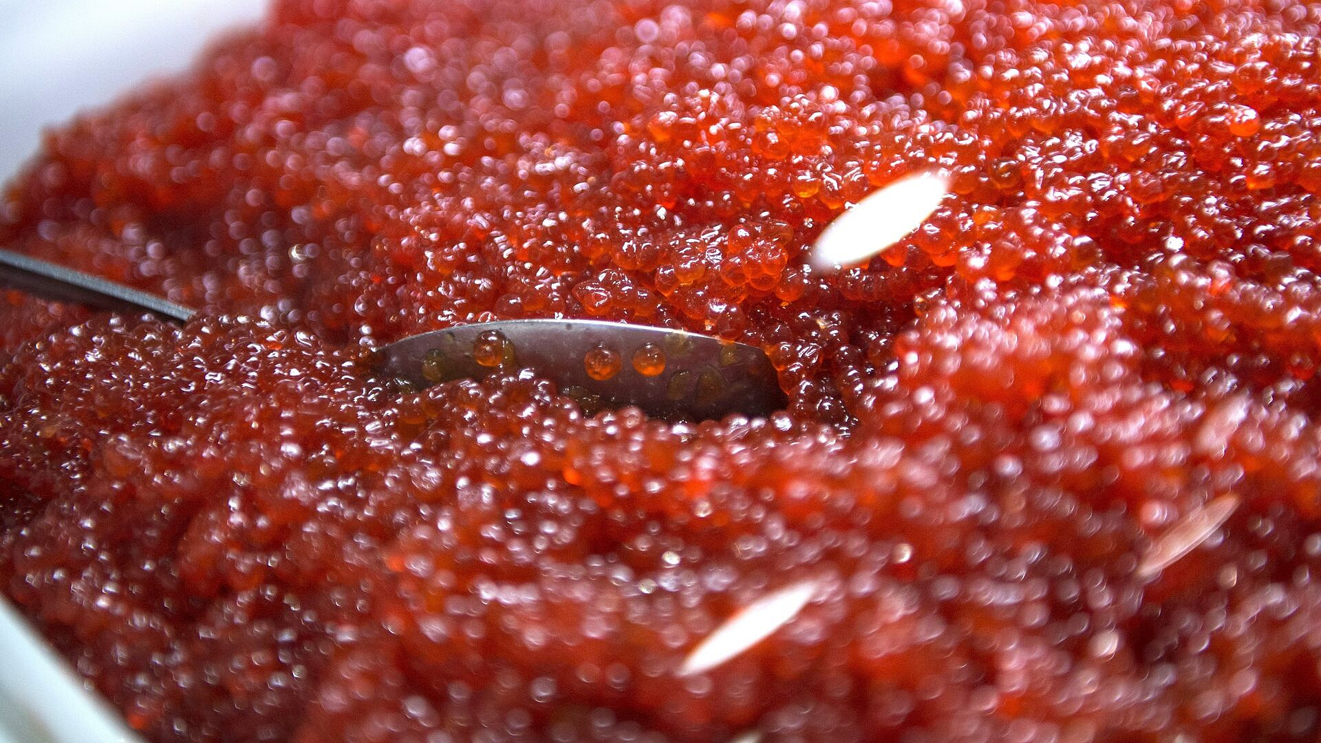 ����� �������������� ������ ������ ������������ ������� ����