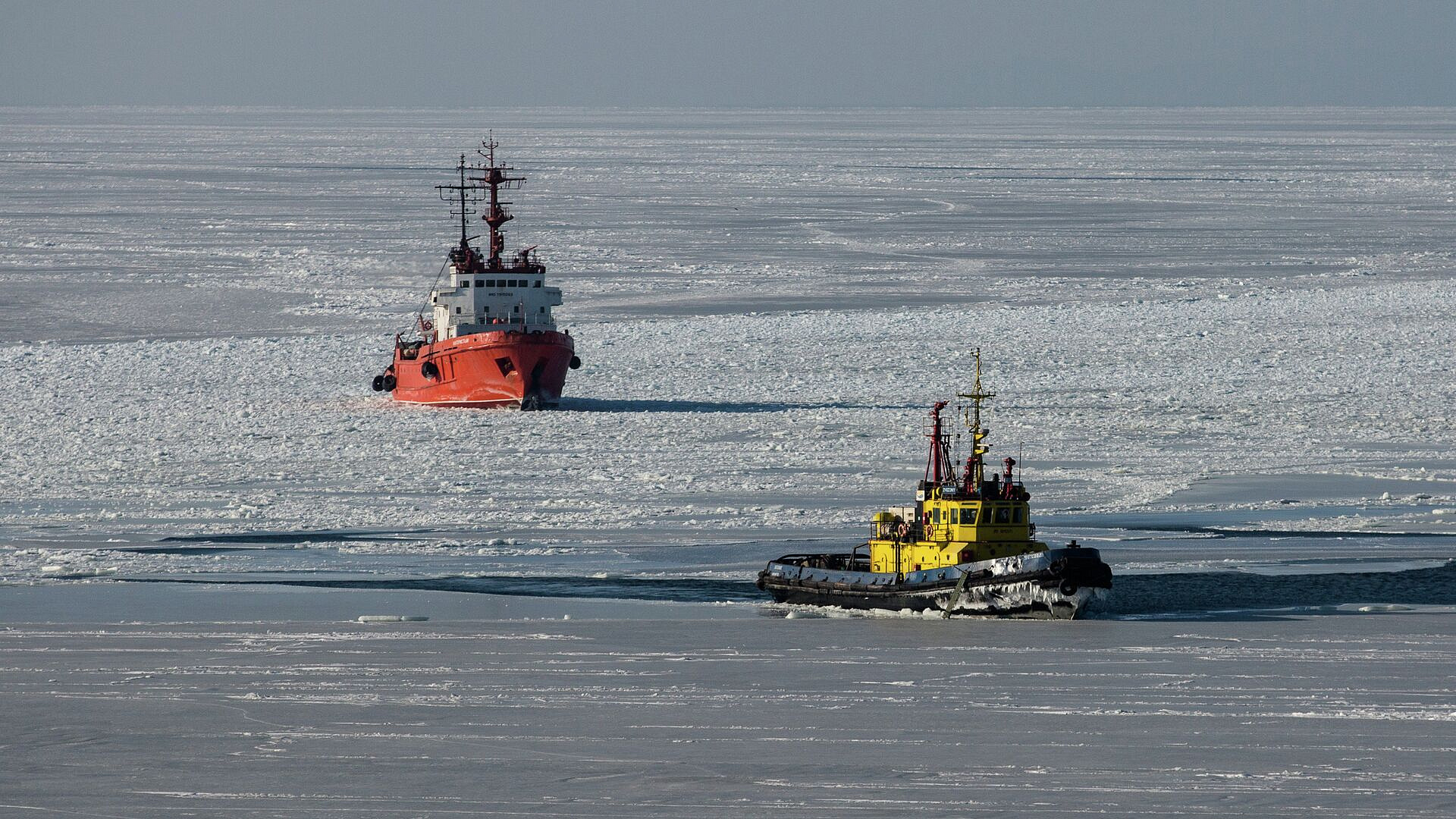 �� ������� �������� ������� �� �����, ������ ������� ���