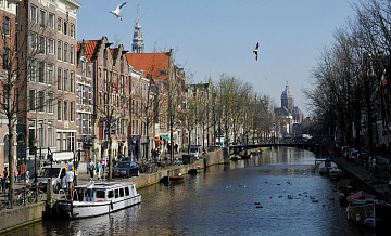 В Нидерландах заявили, что Совет мира отвлекает НАТО от Украины