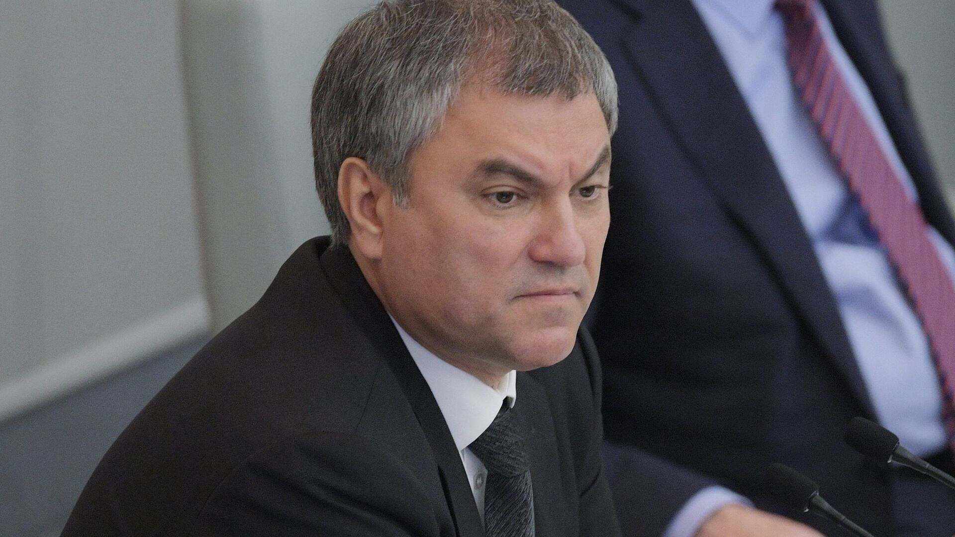 Володин назвал российское законодательство об иноагентах либеральным