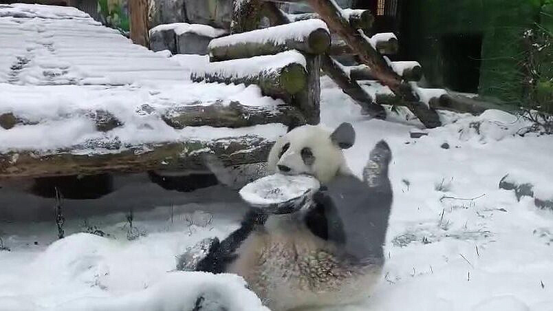 � ���������� �������� ��������, ��� ����� ������ �������� ��������� �����