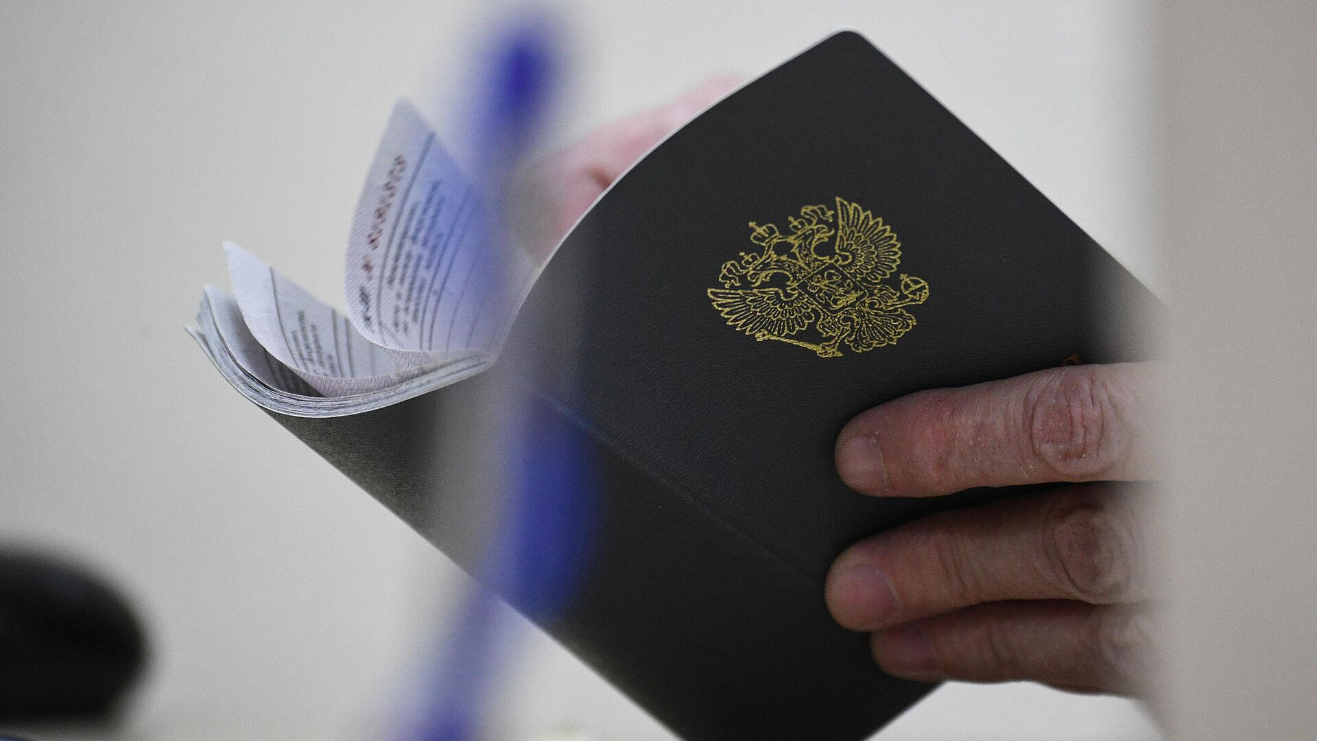 ������������ ��������, ������� ������� ���������� ���� ��� ����������