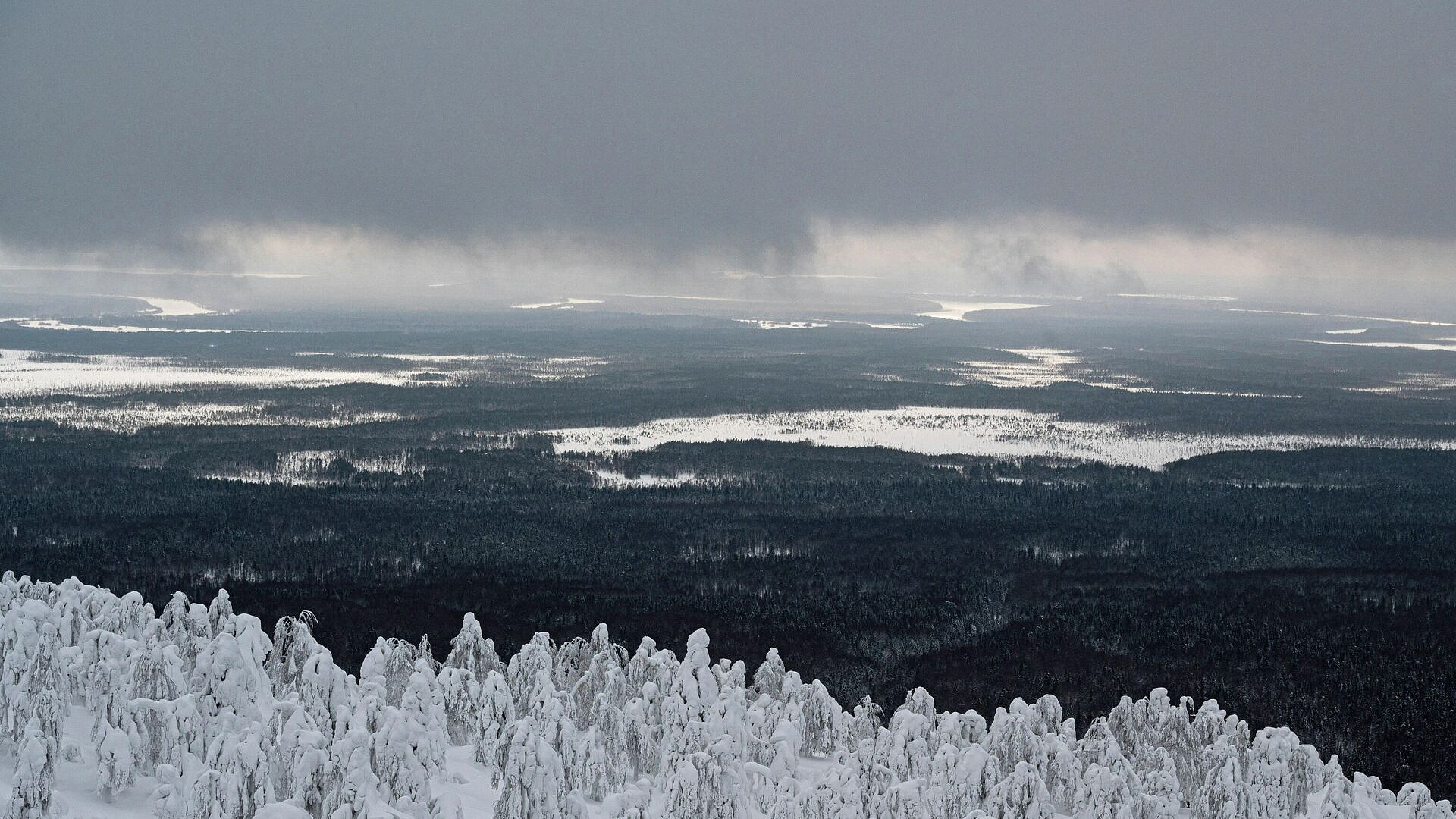 ������� "������" ������� � ����� ����� �������������