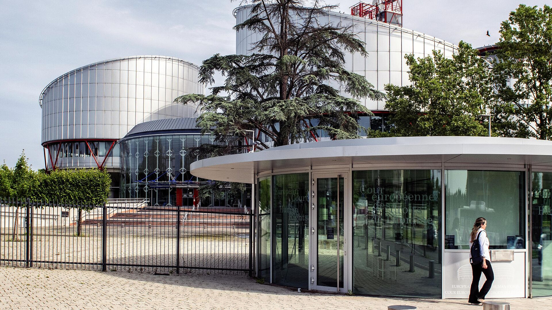 �������� �������� ��� ������ �������, ������ ������� ���� ���������