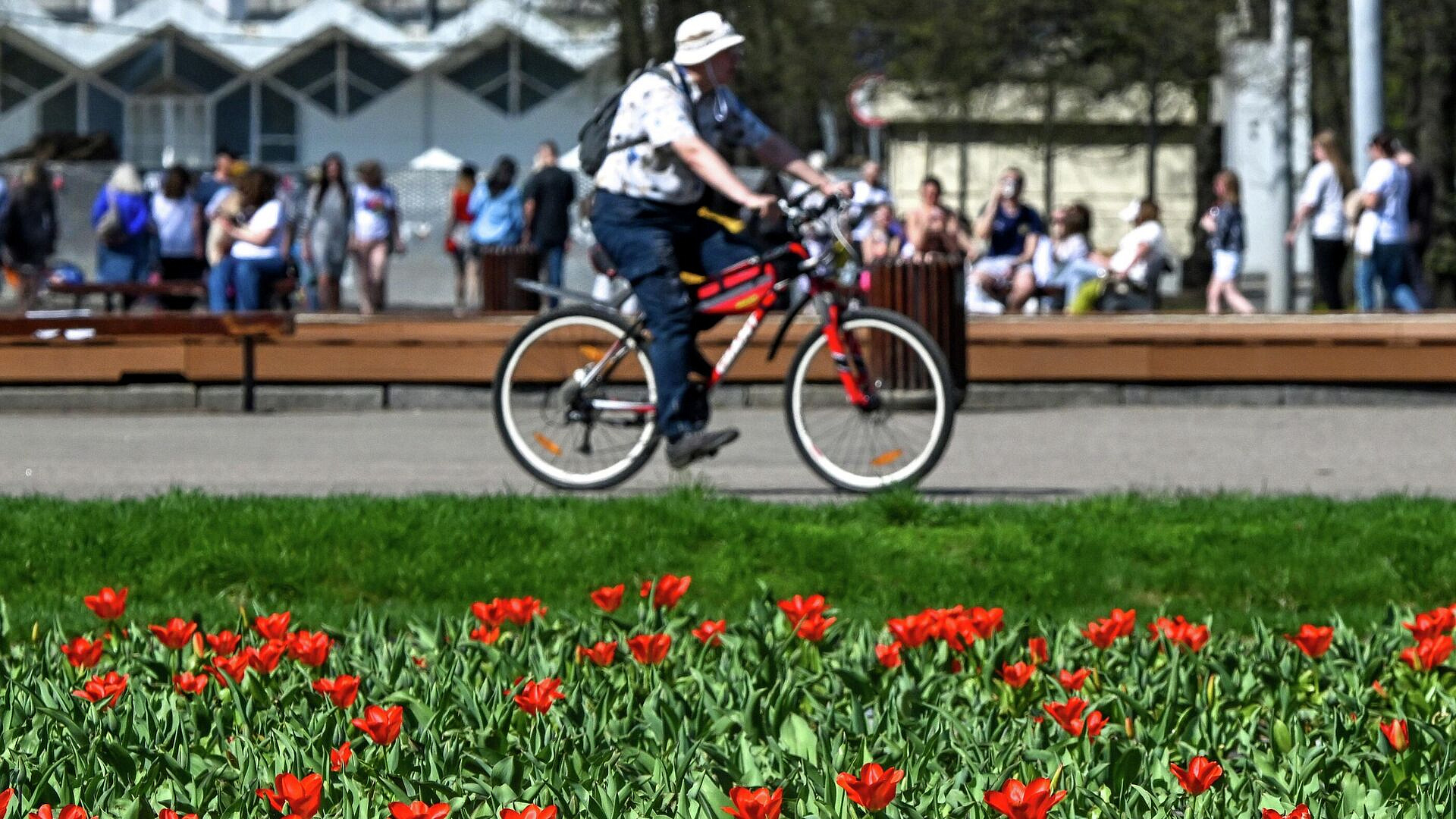 Синоптик рассказал, когда в Москве будет рекордное тепло