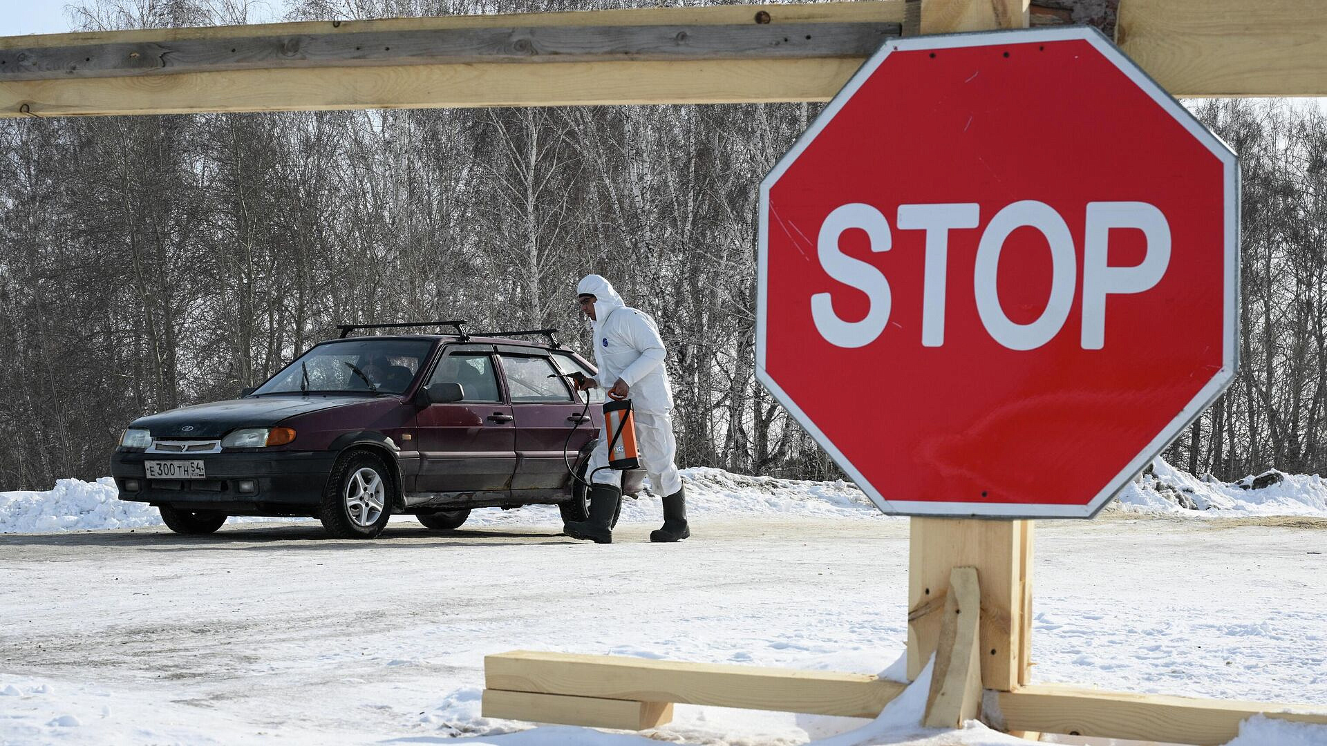 В Новосибирске назвали сроки получения выплат за изъятый скот