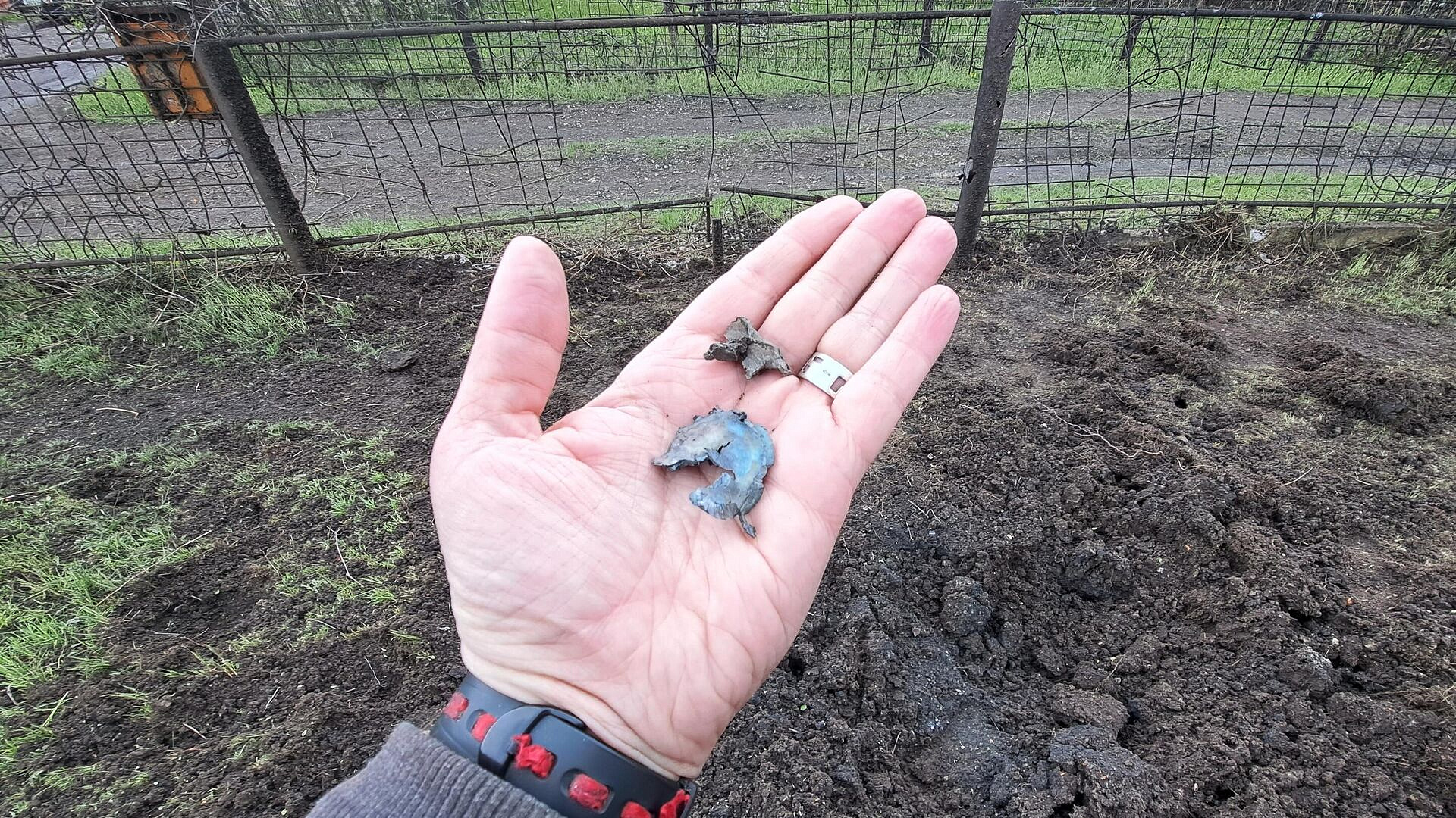 ���� ����� �������� ���������� ��������������� � ��������