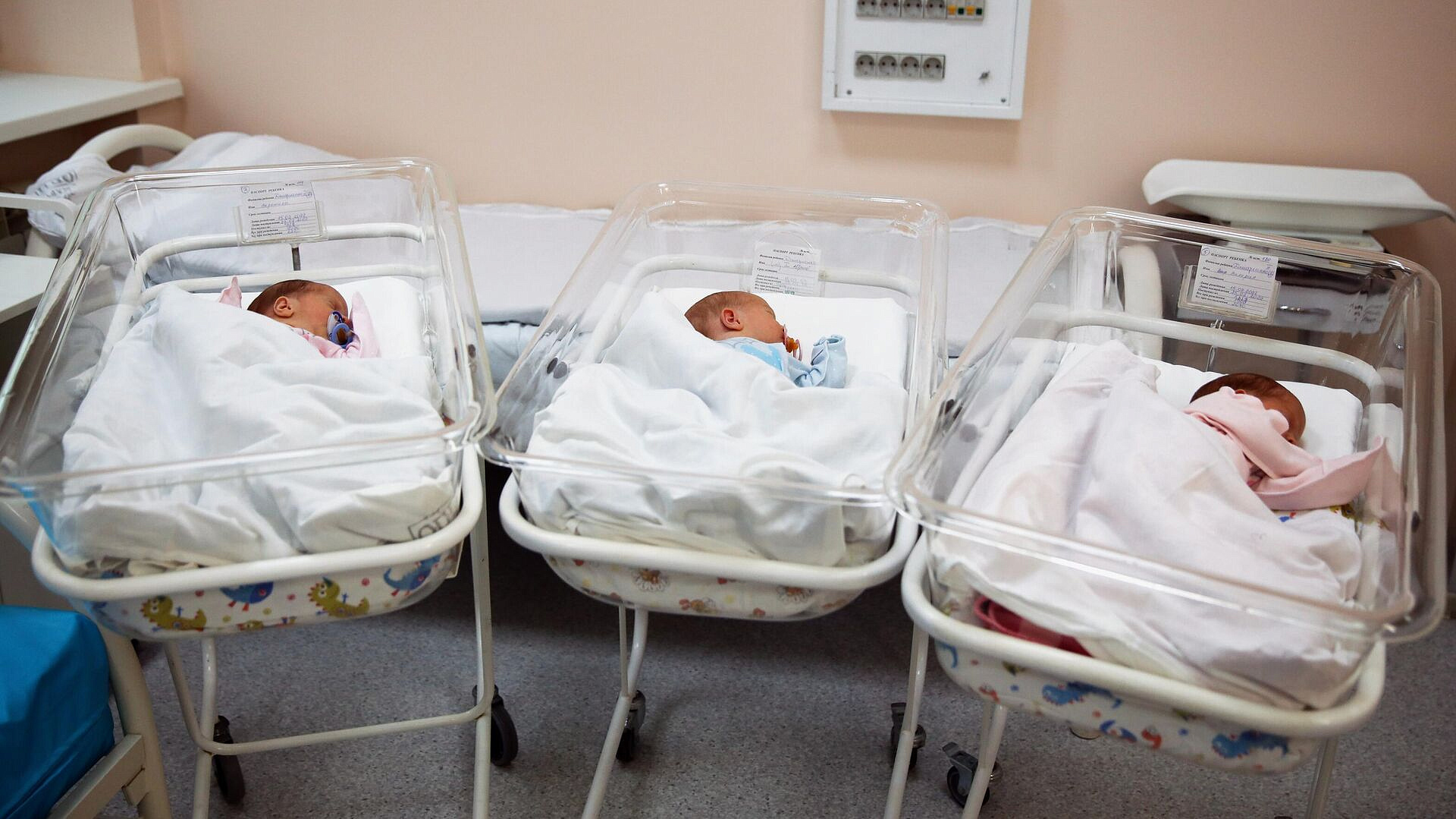 В ДНР планируют ввести региональный материнский капитал