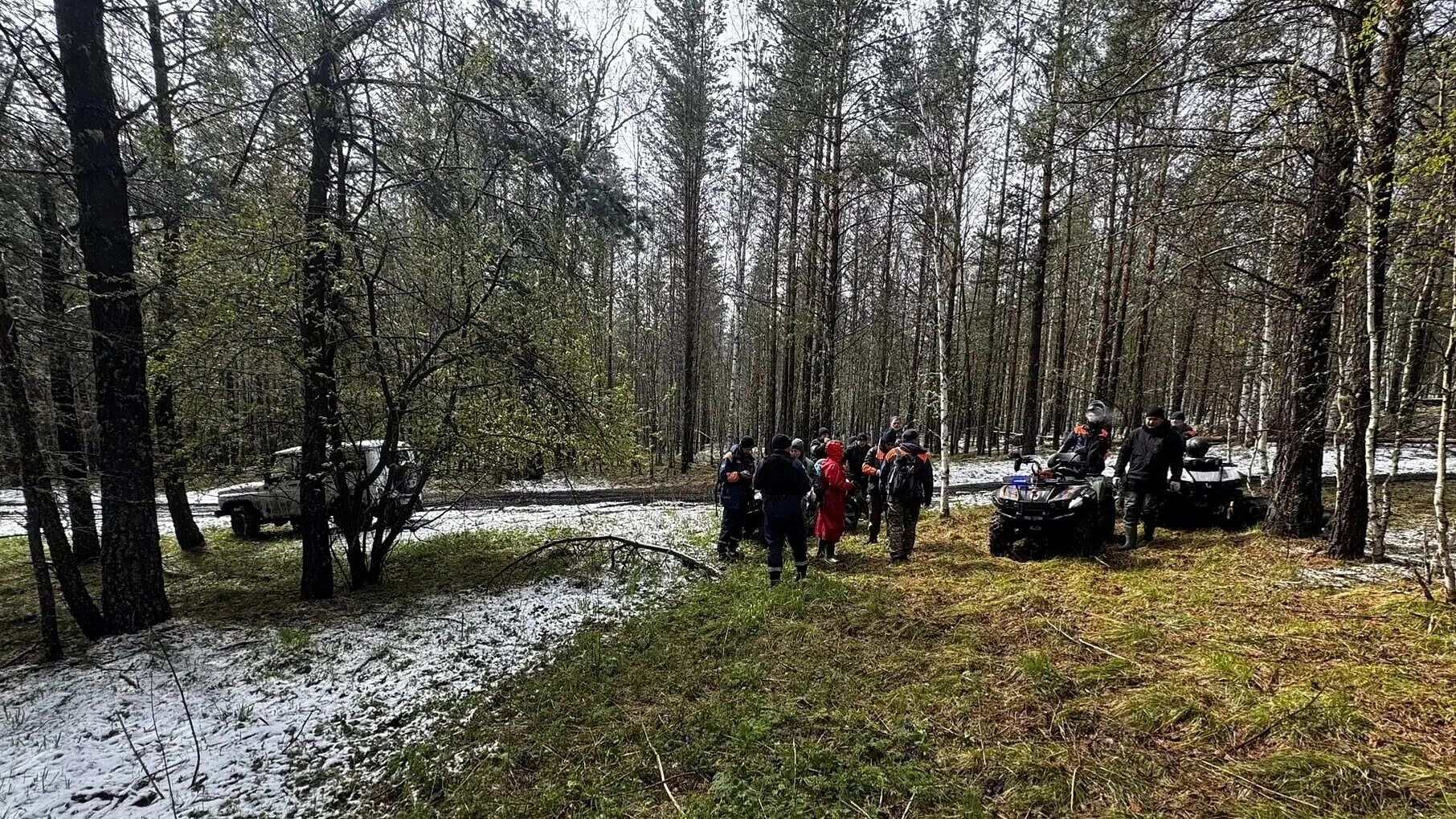 Сын Ирины Усольцевой заявил, что его не оповещали о новых поисках
