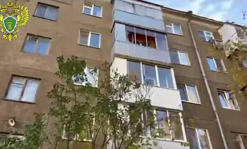 Появились подробности о семьи, глава которой выбросил дочь из окна