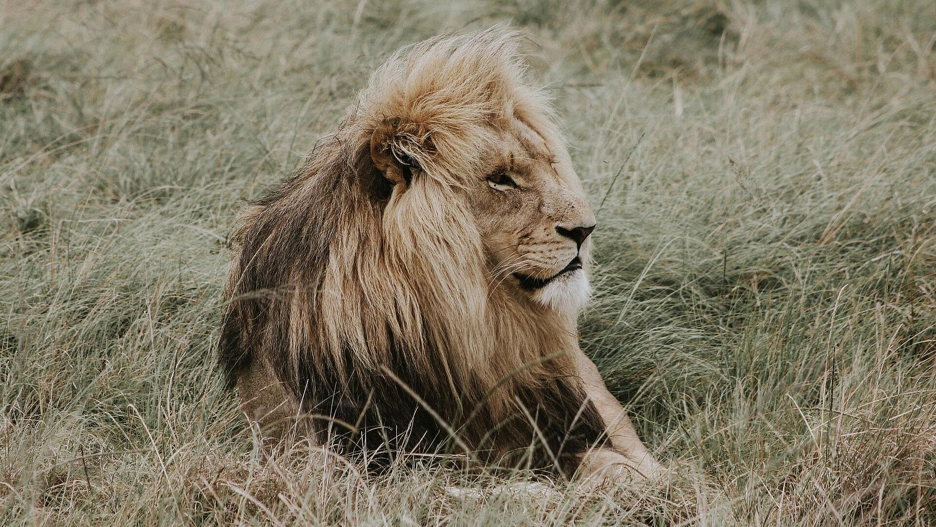 ������, ������� ������ ���� �� �������, ������, ��� ��� ����������