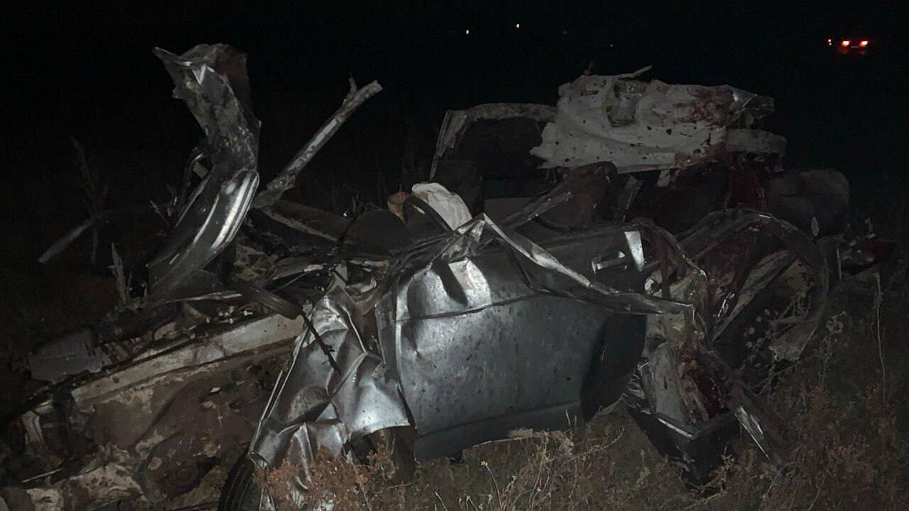 В Башкирии машина столкнулась с лошадью, есть погибшие