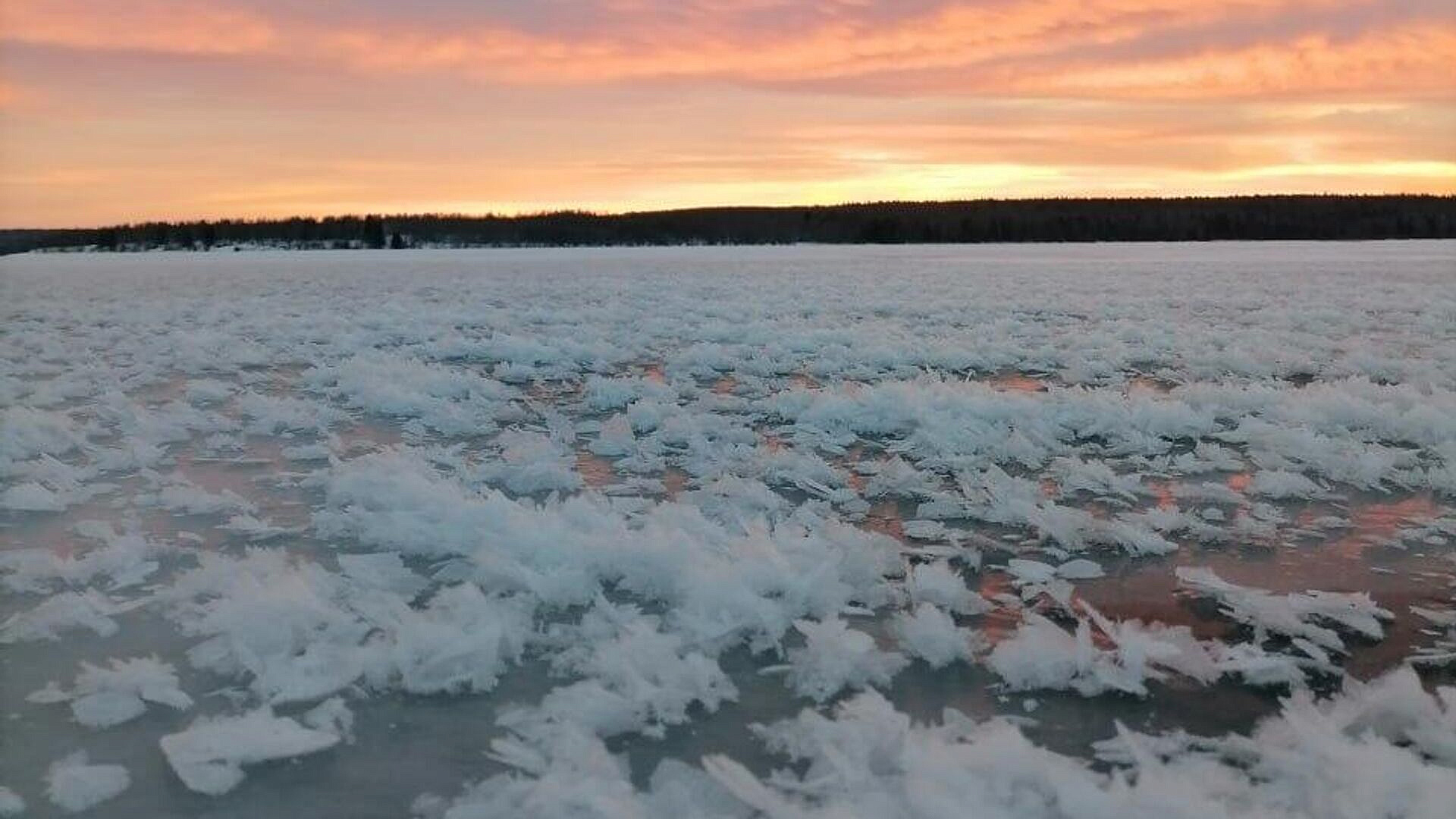 � �������� ���� ������������� ������ ��������� ������� "������� �����"