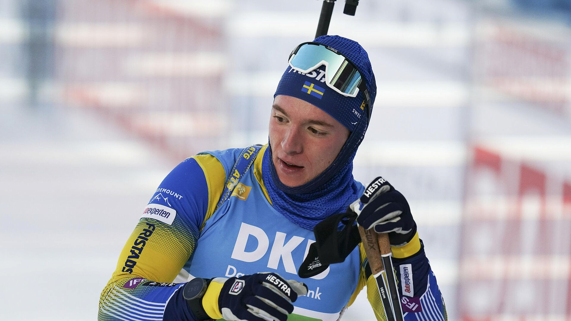 ����������� ������� ������ �� ����� ����� ���� � �����������