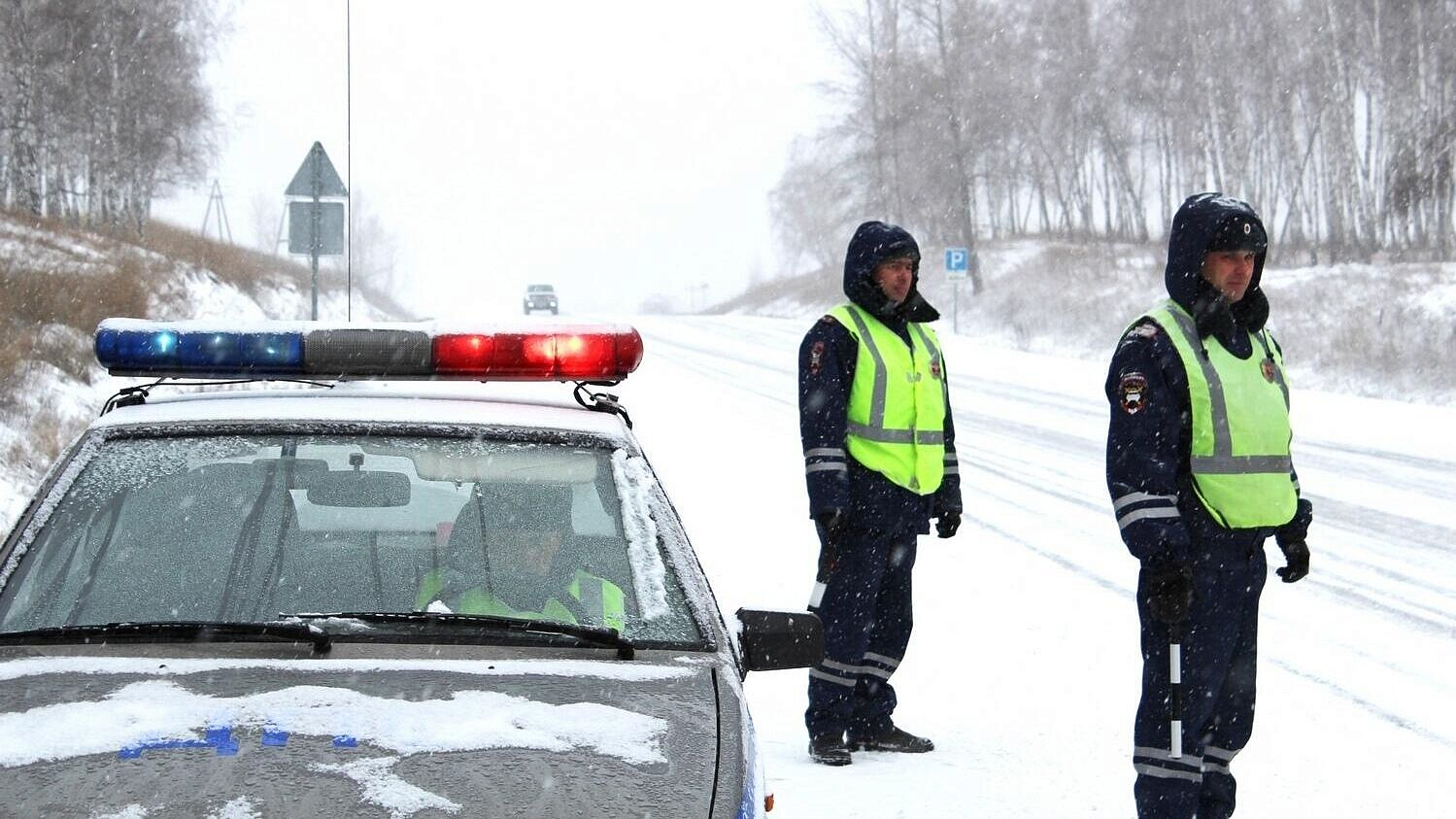 ���������������� ���� ������������ ��������� �� ������ ������