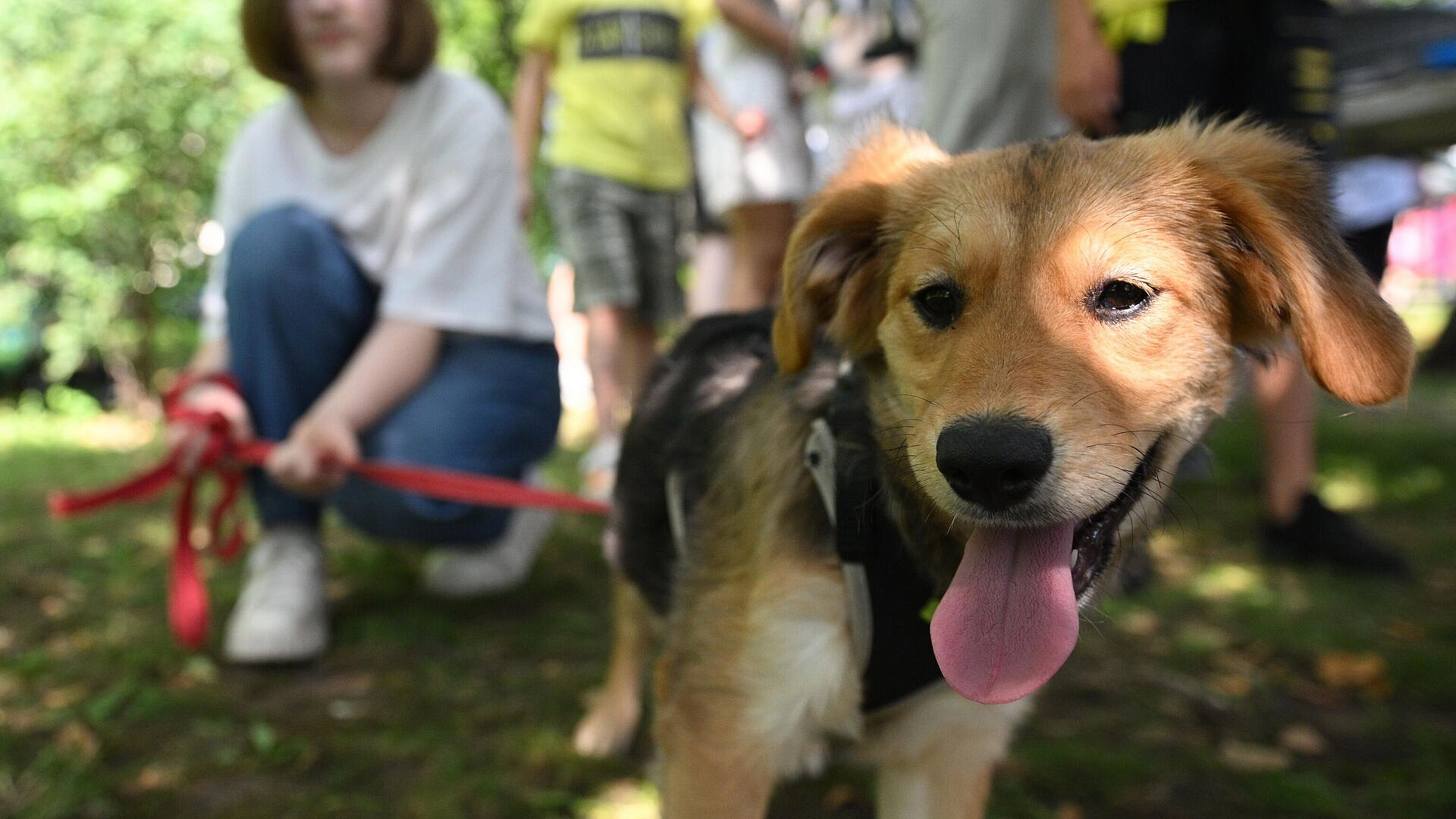 ������� ���������, ������ ����� ����� ������� ������ �� �������