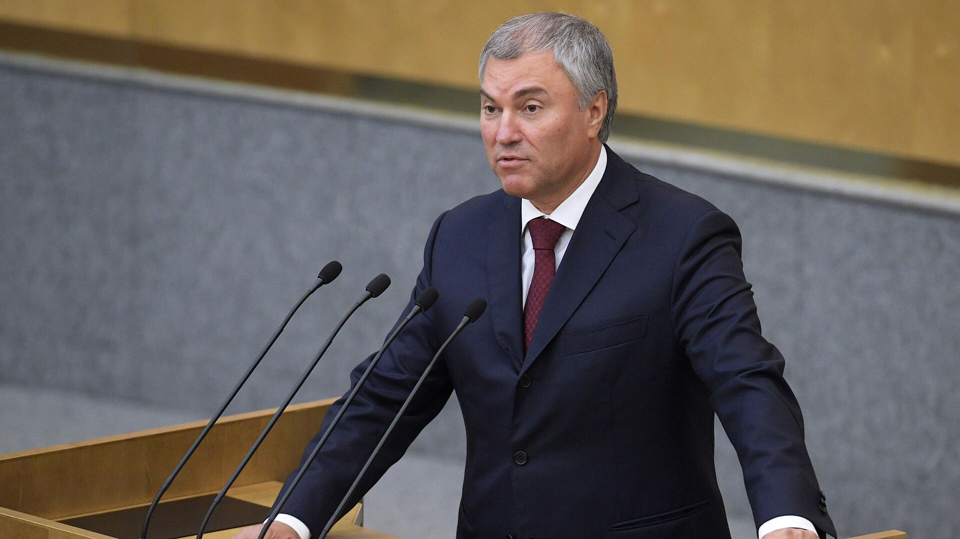 Володин отметил работу правительства по модернизации здравоохранения
