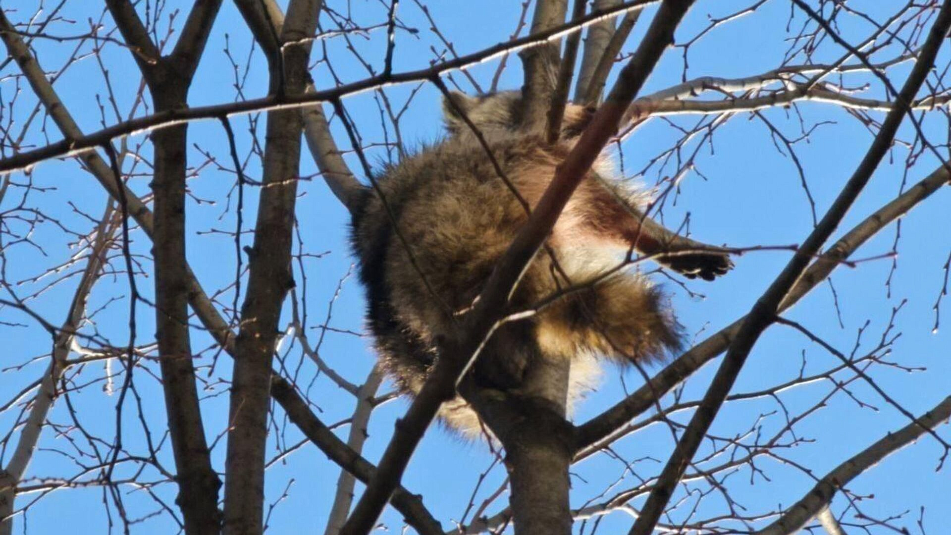 �����, ������������ ��� ��� �� ������ � ����������, ��������� � ��������