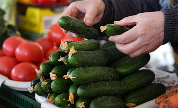 В России подешевели помидоры и огурцы