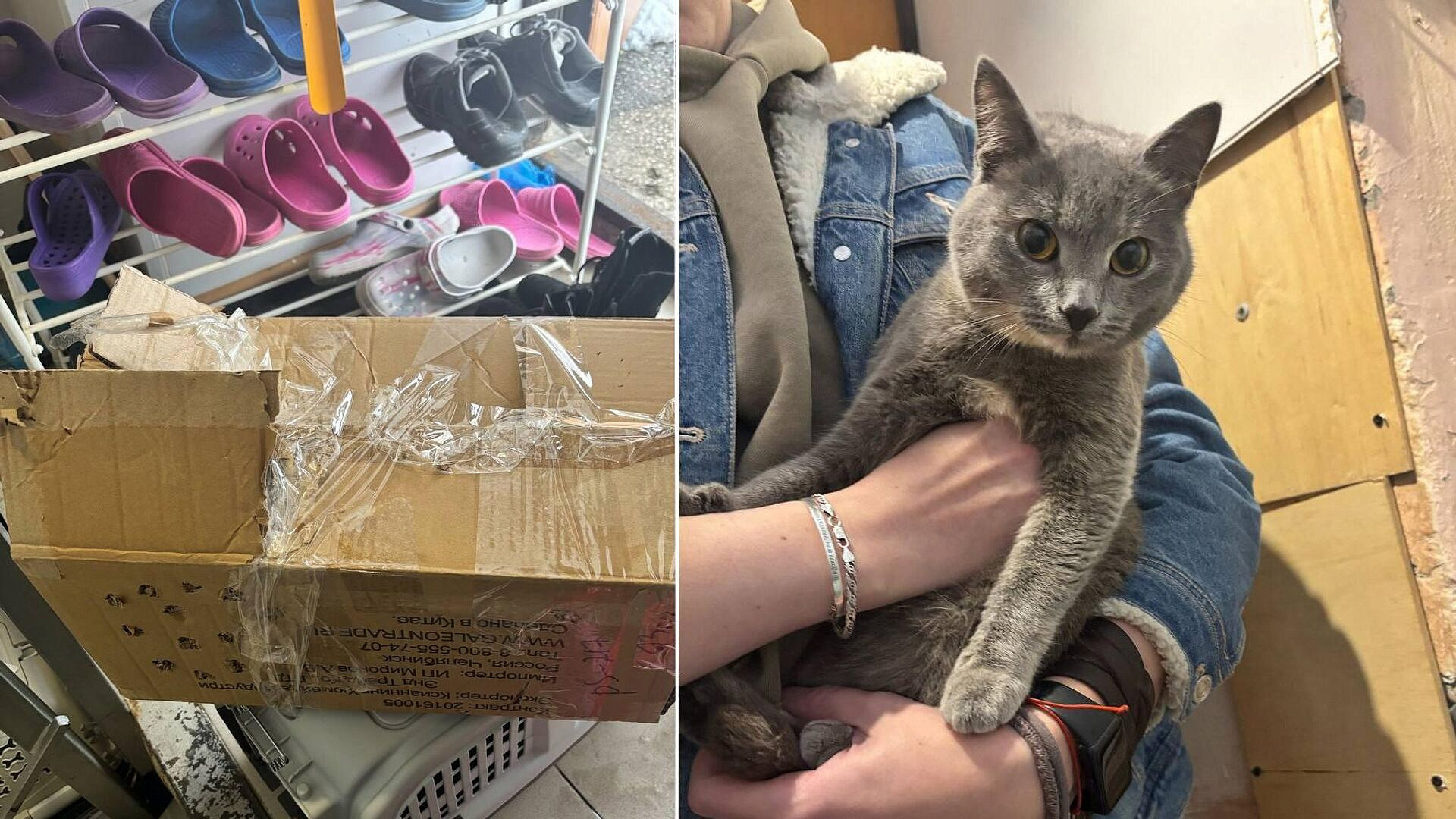 � �������� ����� �������� ����� � ���������� ������� �������