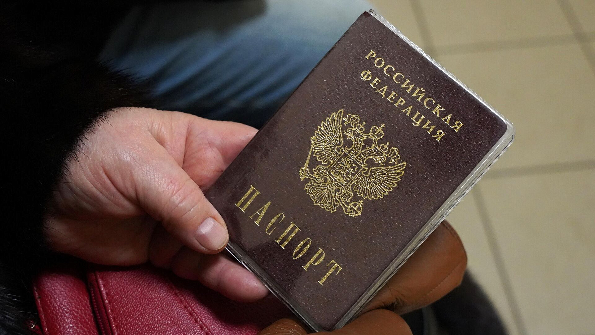 В России 4,5 тысячи человек лишили гражданства с 2023 года
