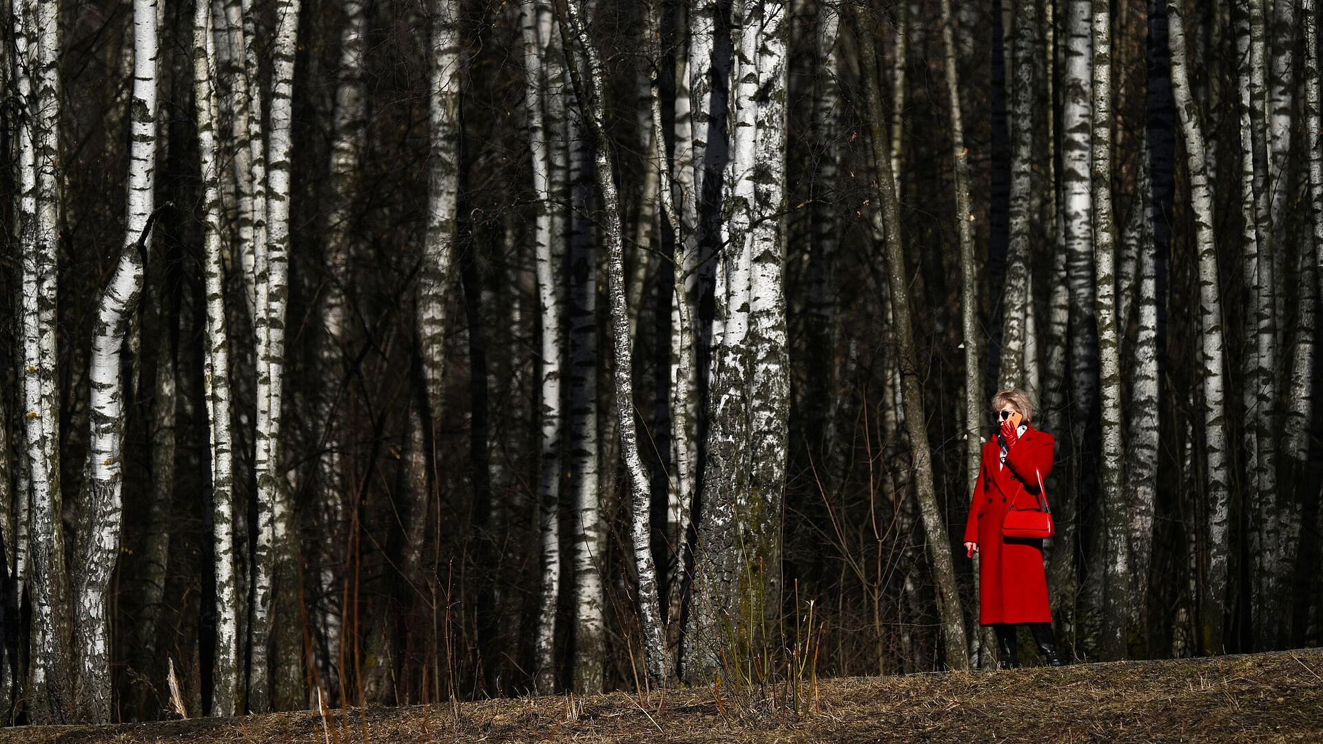 Весна в Москве в 2026 году придет как минимум в срок, рассказал синоптик