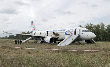 �����, ���������� ������� ��� �������������, ���������� � �������� ����