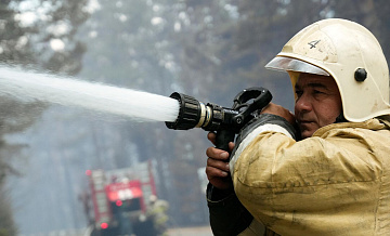 В Рослесхозе рассказали о площади лесных пожаров в России в 2024 году