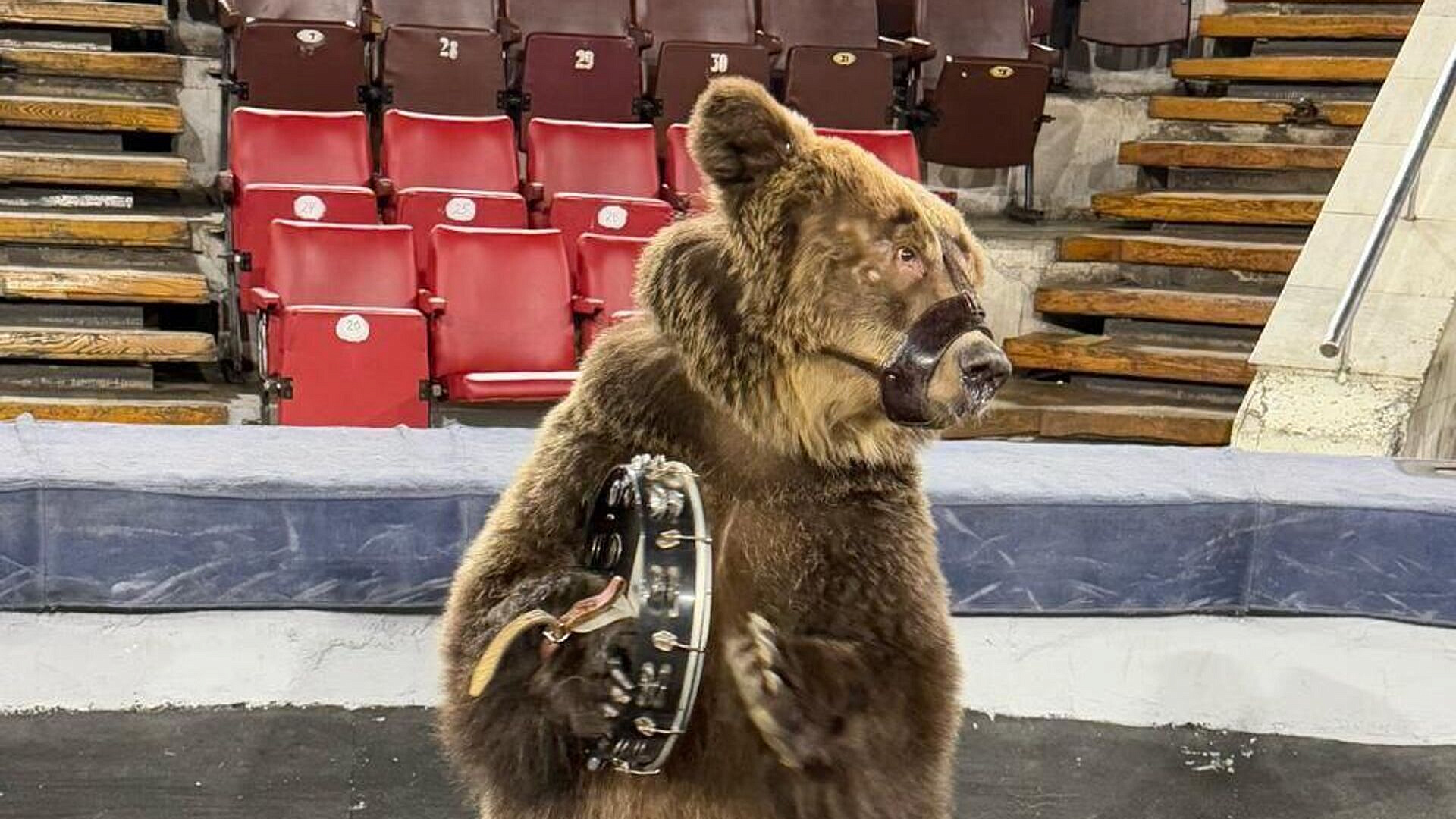 � �������� ���������� ���������� � �������� ��������� � ��������