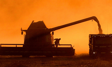 Россия нарастила поставки зерна в Китай почти вдвое