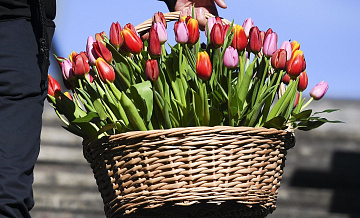 Эксперт рассказал о схемах обмана россиян в преддверии 8 Марта