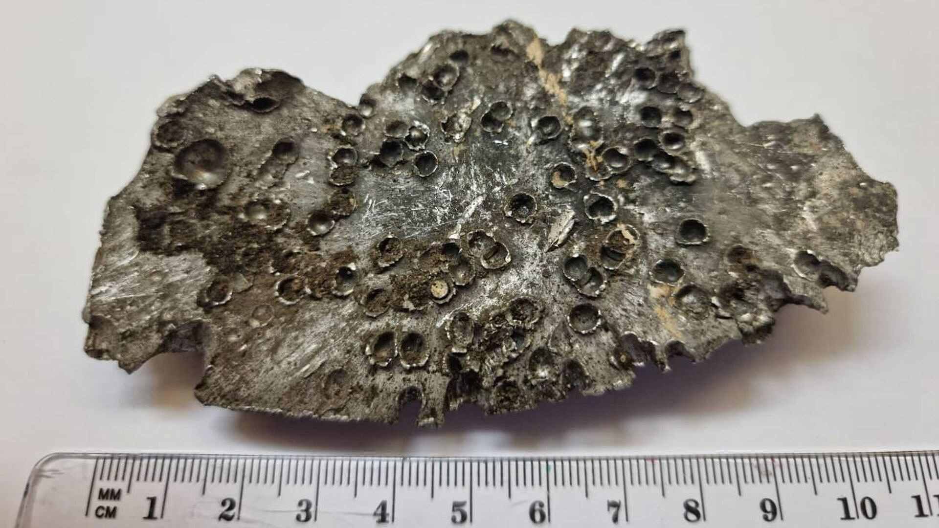 ��� �� ����� 51 ��� ���������� ���������� ���