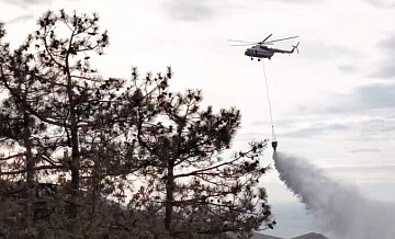 В Крыму локализовали крупный ландшафтный пожар