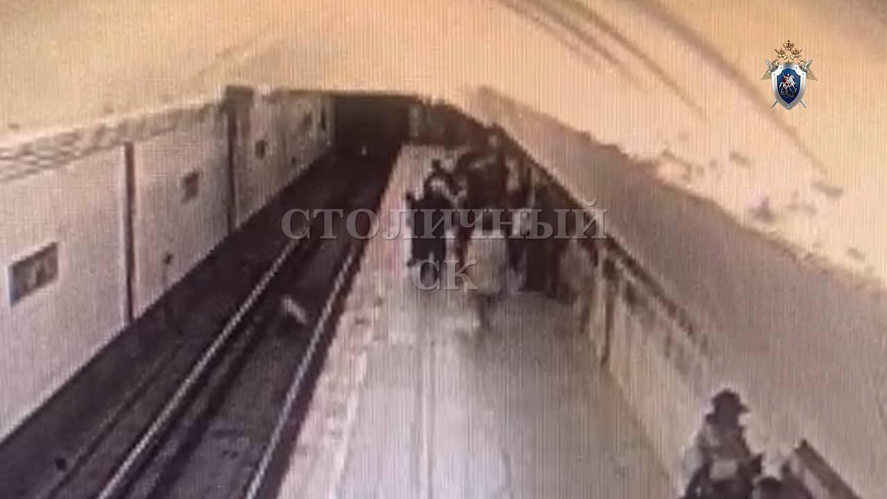 В Москве будут судить пенсионерку, толкнувшую девочку на пути в метро