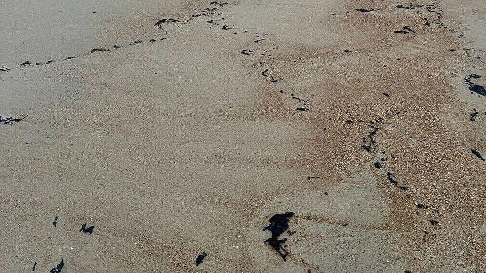 � ����� ������� ������� ���� ��� ��������� ������� ������ �� ������