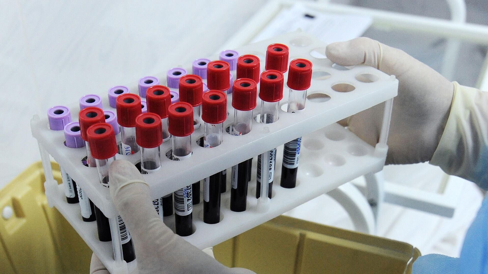 � �� ����������, ��� �������� � ����������� ������� ������� �������� �����