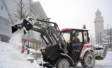 � ������ ������������� ����������� ����������� ���������