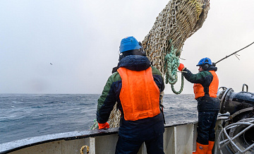 �������������� ������� ������ ������ �������� �� ����������� ��� �����