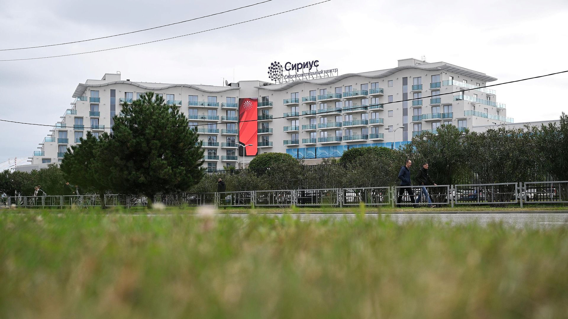 В Сириусе предложили гарантировать трудоустройство студентов