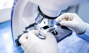 Мантуров рассказал о планах по технологической независимости в биоэкономике