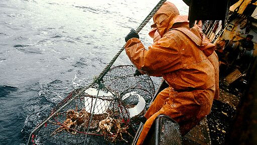 Россия увеличила поставки крабов в Китай до рекорда