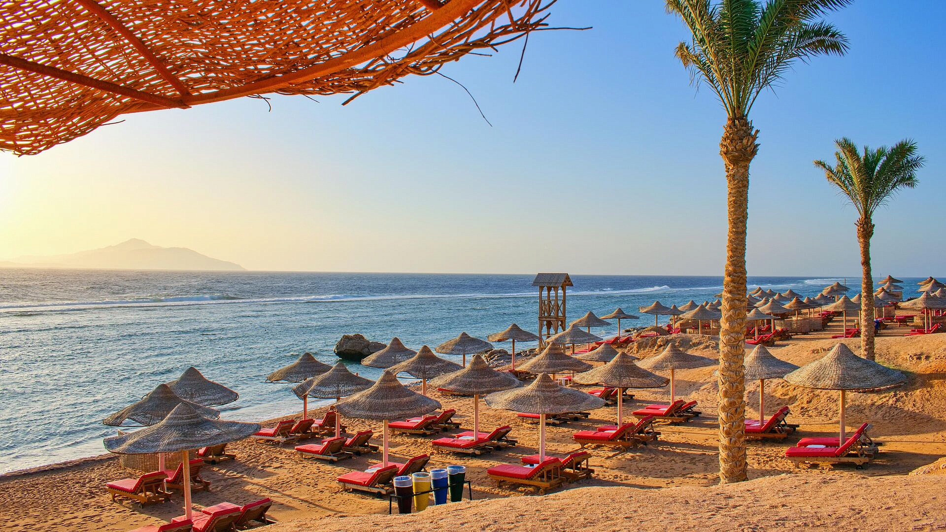 Песня "Сигма бой" покорила европейцев на курортах Египта