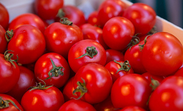 ФАС проанализирует наценки на 29 категорий продуктов