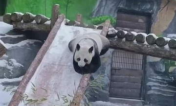 � ���������� �������� ��������, ��� ����� ������ ������ � �����